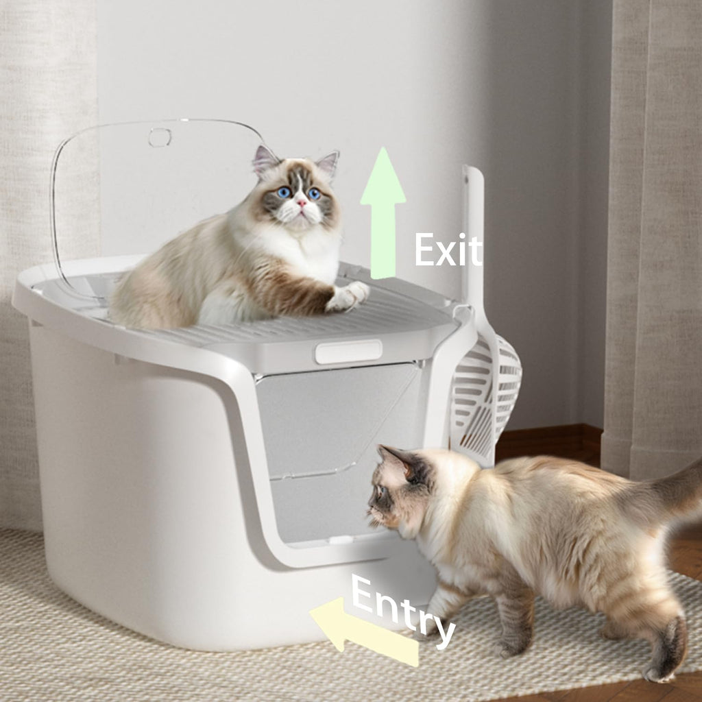 Molded Cat Litter Box with Scoop S35095