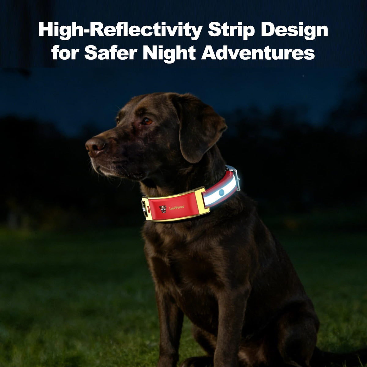 Red Wireless Electric GPS Dog Collar I6157