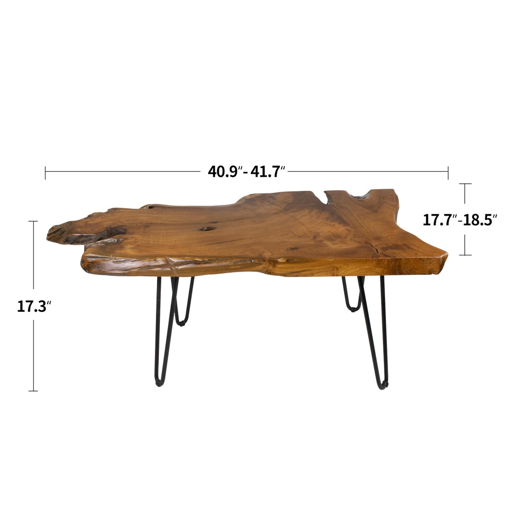 Live Edge Solid Wood Coffee Table Q66197