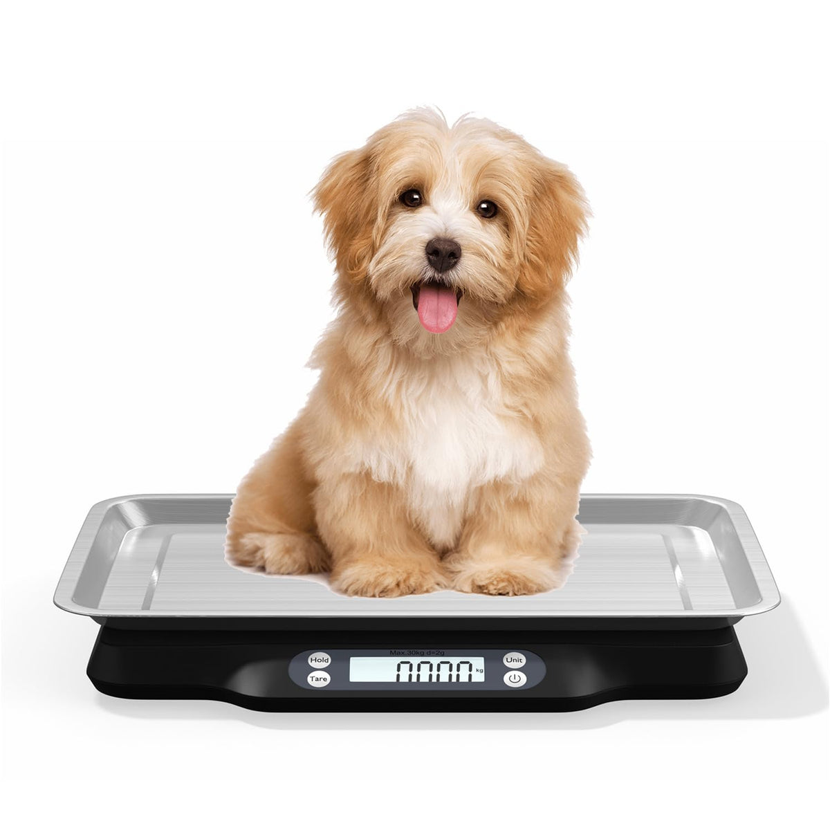 Digital Little Animal Precision Scale 30kg/2g X33132