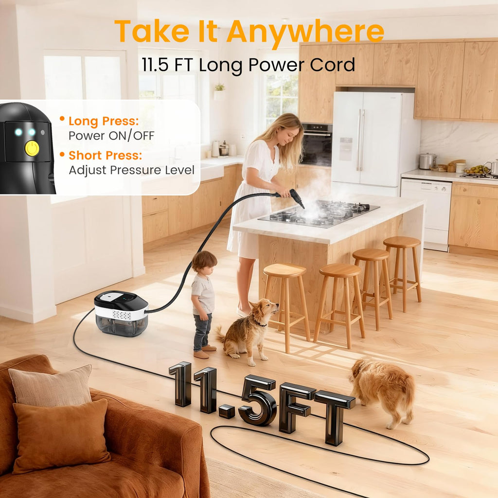 1600ML Handheld Steam Cleaner Q76297