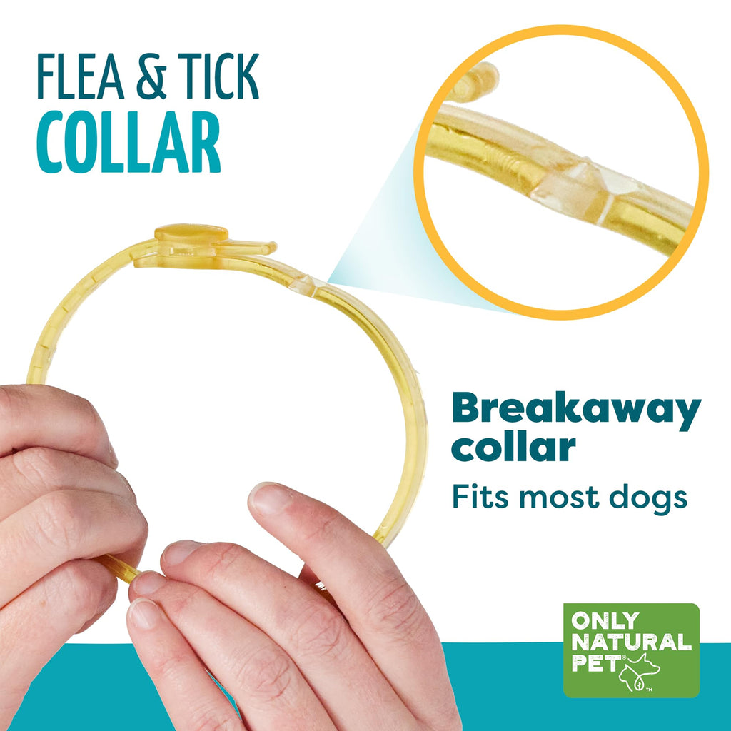 Flea & Tick Dog Collar One Size Fits All O29261