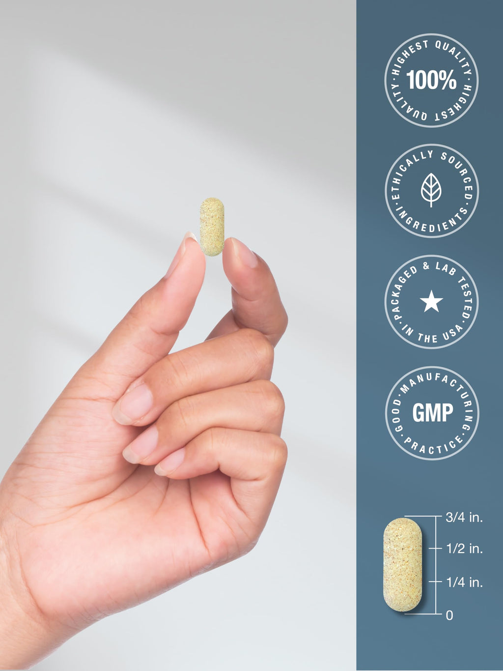 Glucosamine Chondroitin MSM 360 Caplets F4748