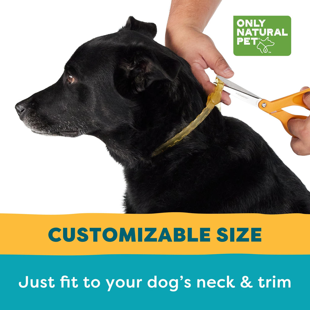 Flea & Tick Dog Collar One Size Fits All O29261