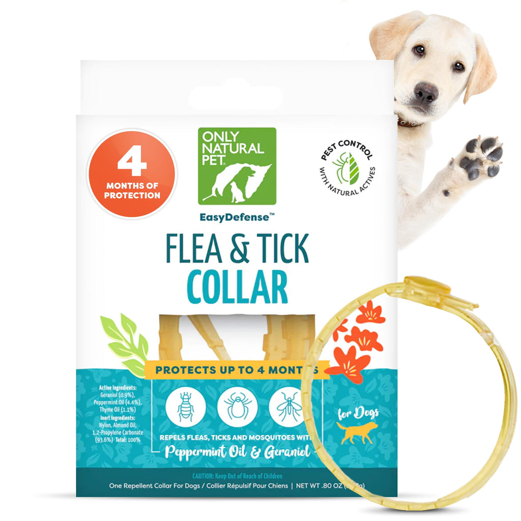 Flea & Tick Dog Collar One Size Fits All O29261