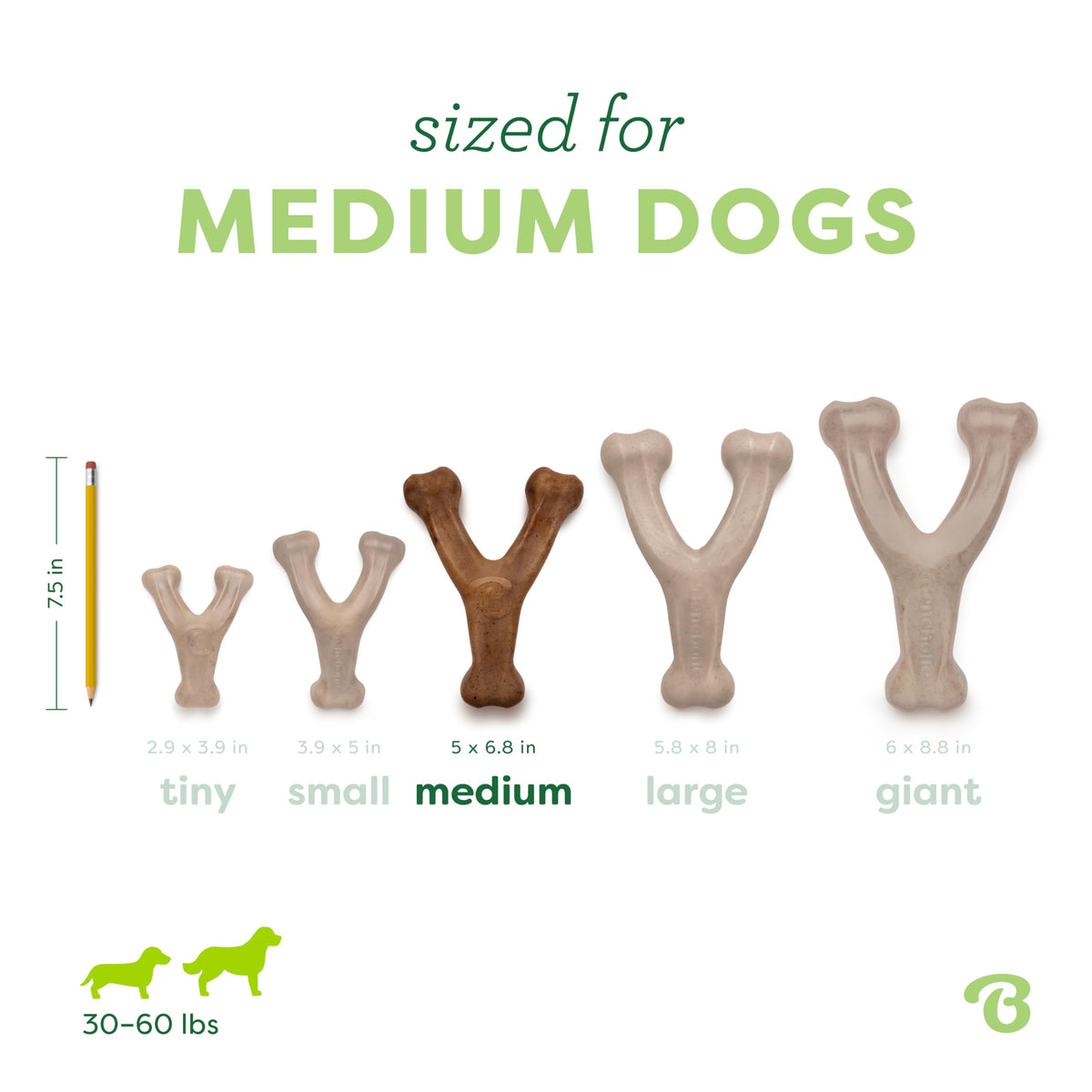 Wishbone Dog Chew Toy Medium A785910