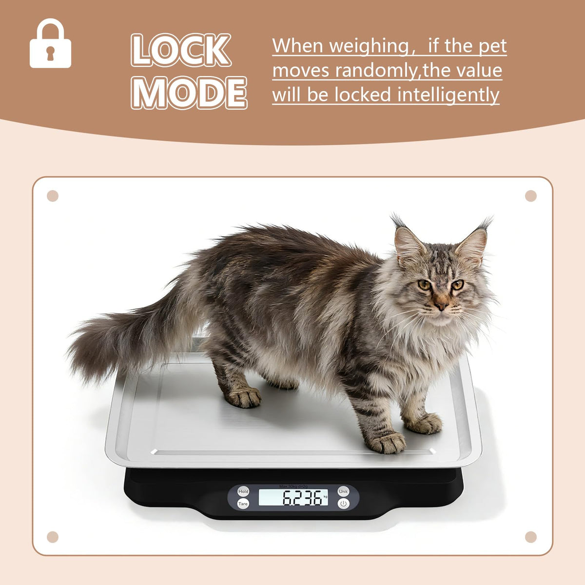 Digital Little Animal Precision Scale 30kg/2g X33132