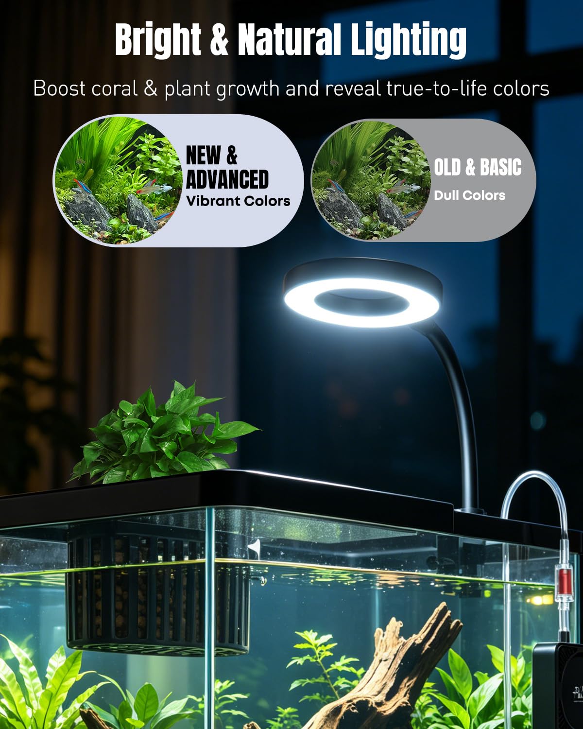 2 Gallon Ultra Clear Aquarium Starter Kit with LED Light, Air Pump, Filter K147148