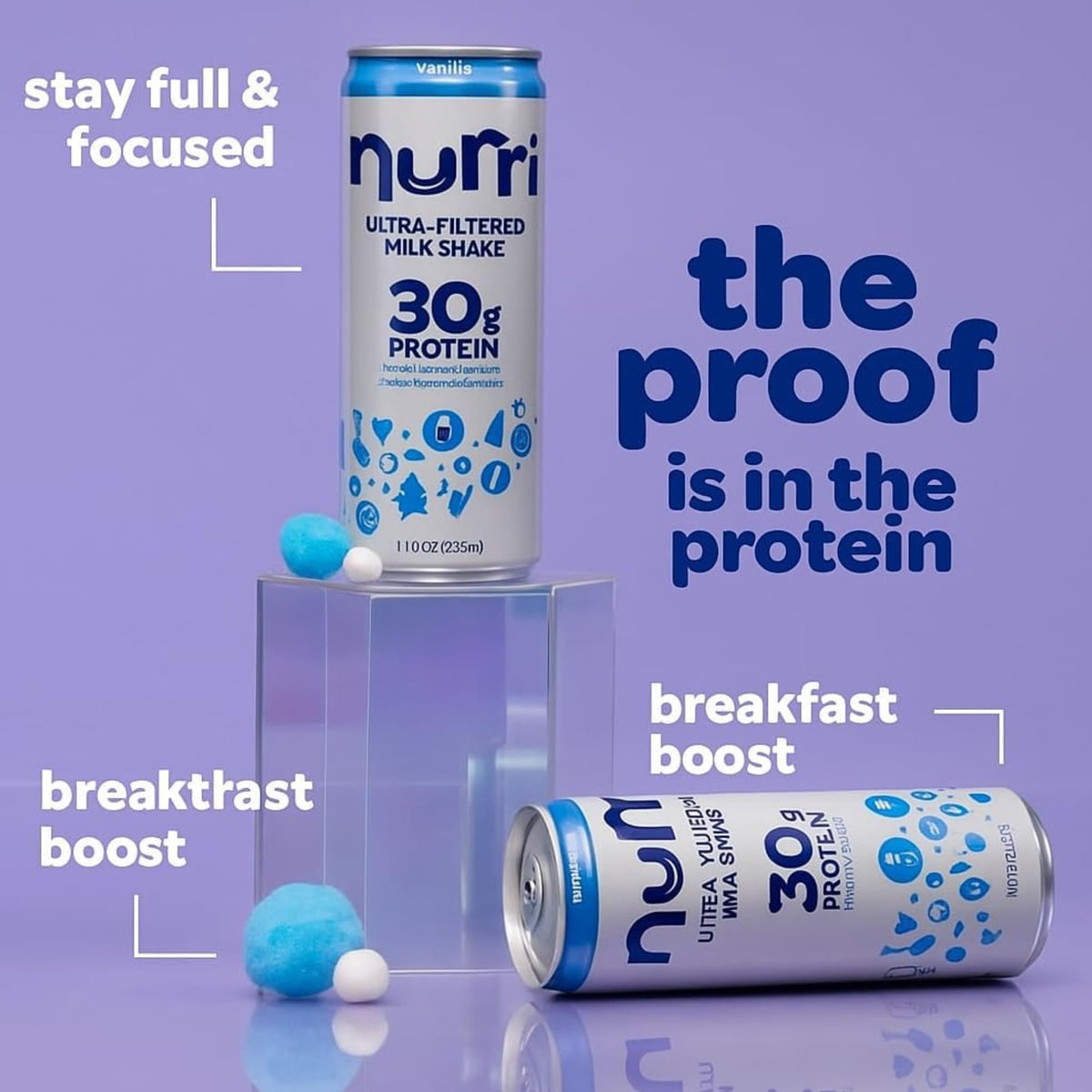 Vanilla 12-Pack Lactose Free Milk Shake F650