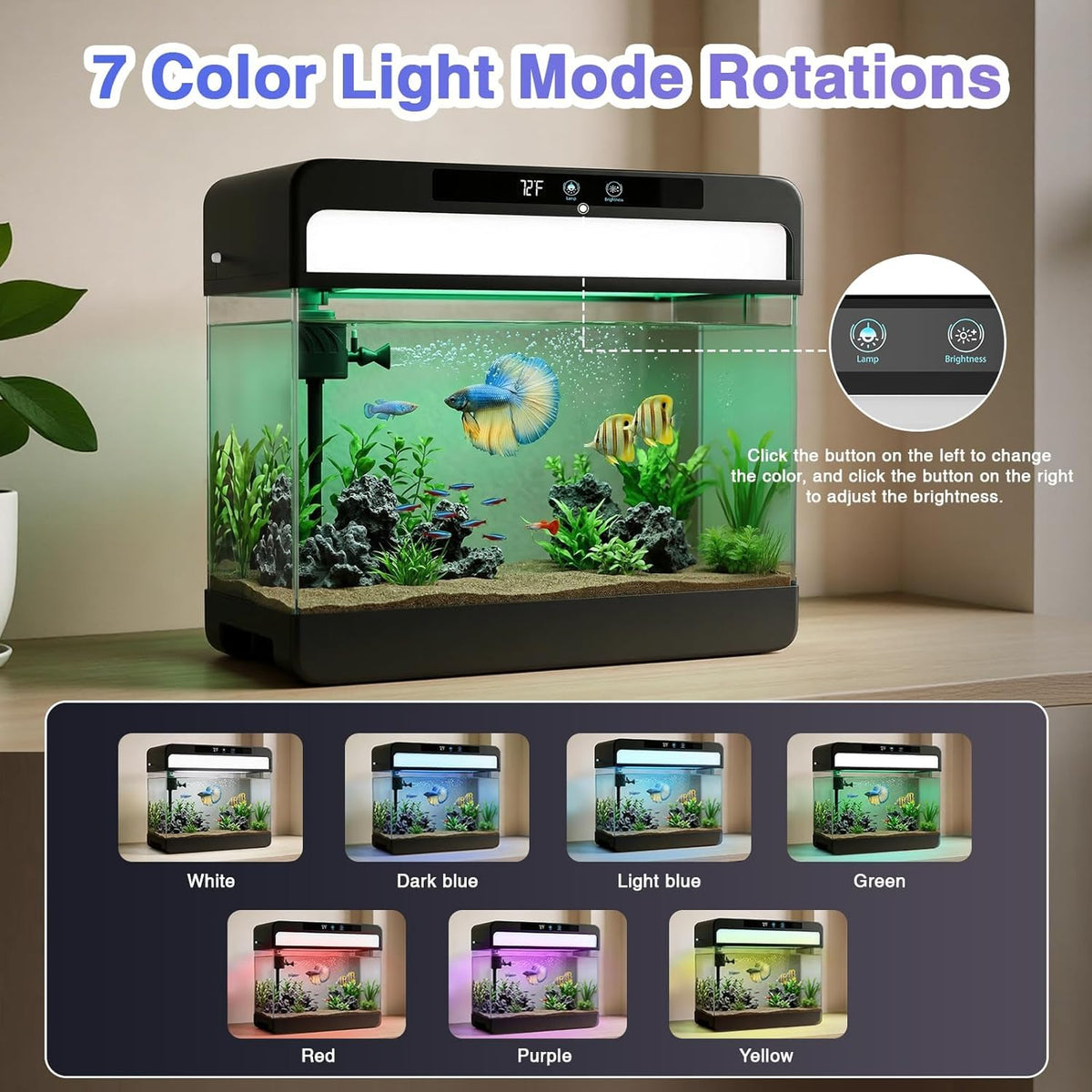 3 Gallon Fish Tank Starter Kit B14882