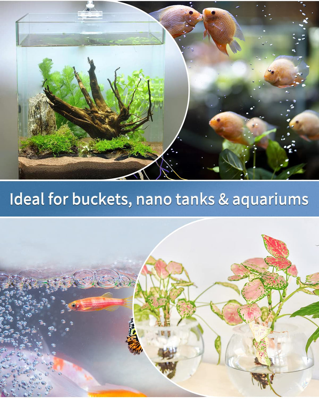 Aquarium Air Stone Disc with Suction Cup Air Control Valve C2394
