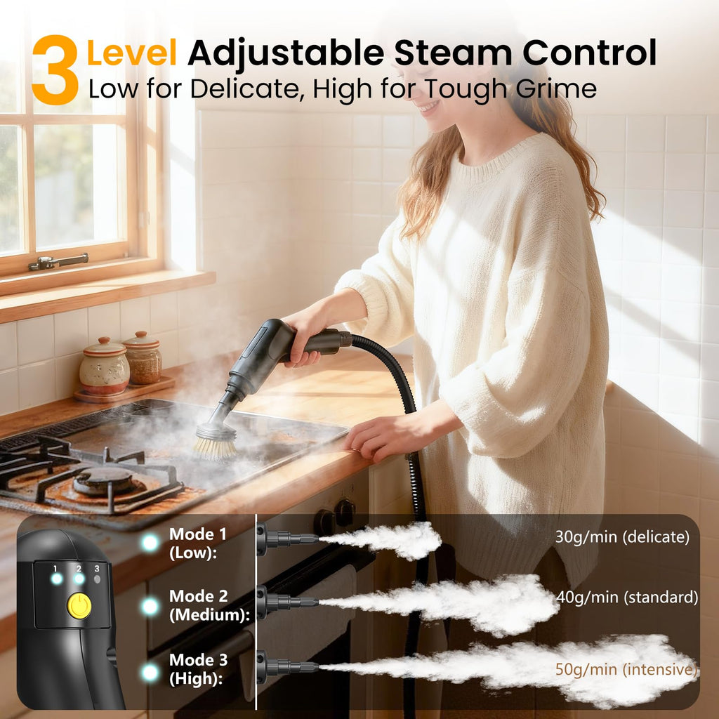 1600ML Handheld Steam Cleaner Q76297