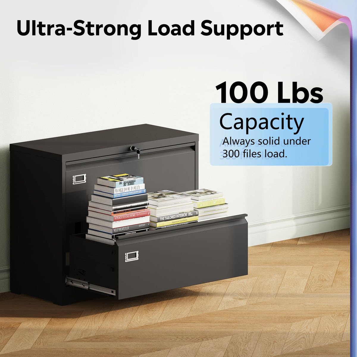 2 Drawer File Cabinet with Lock N62769