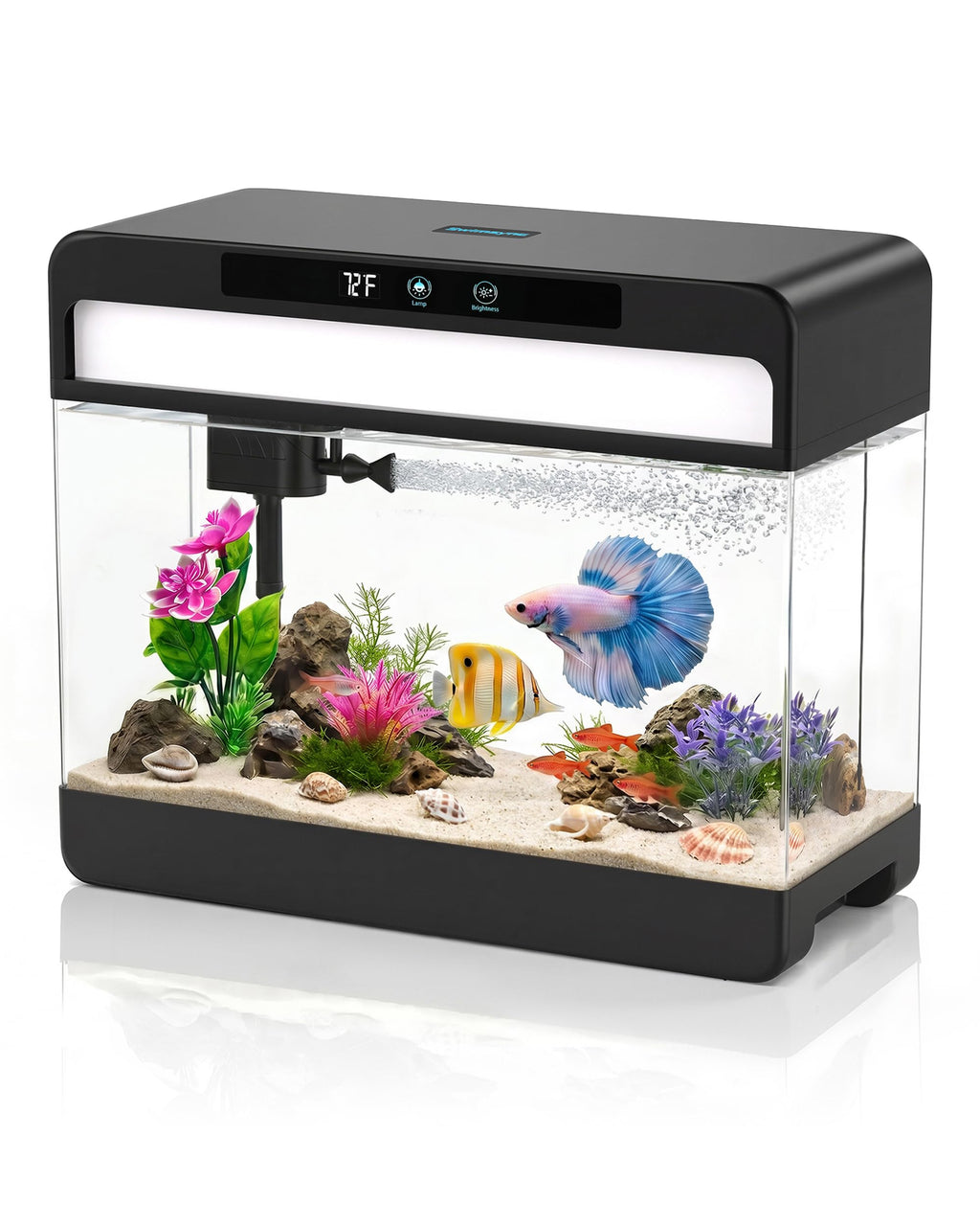 3 Gallon Fish Tank Starter Kit B14882