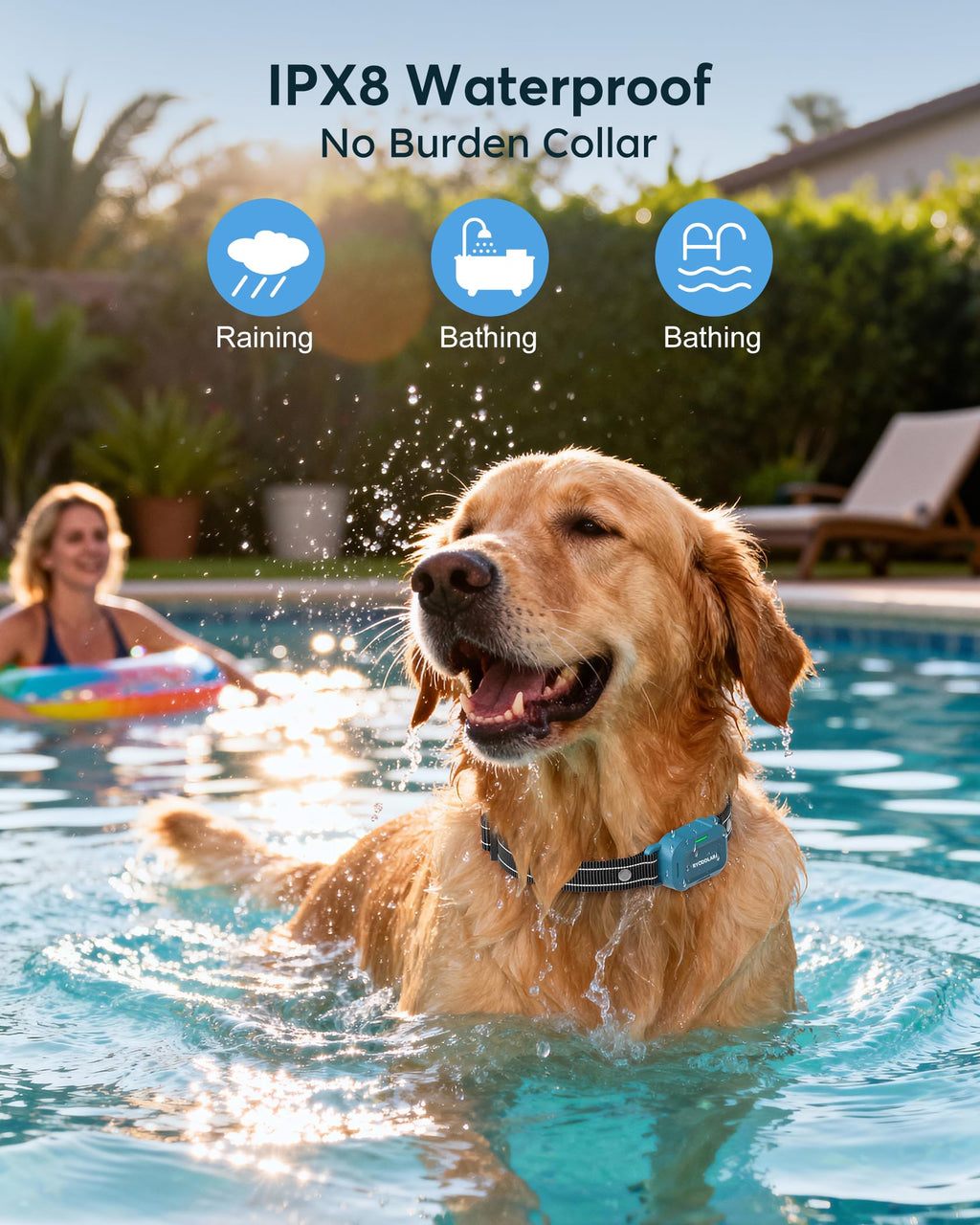 Dog Training Collar with Remote X6016