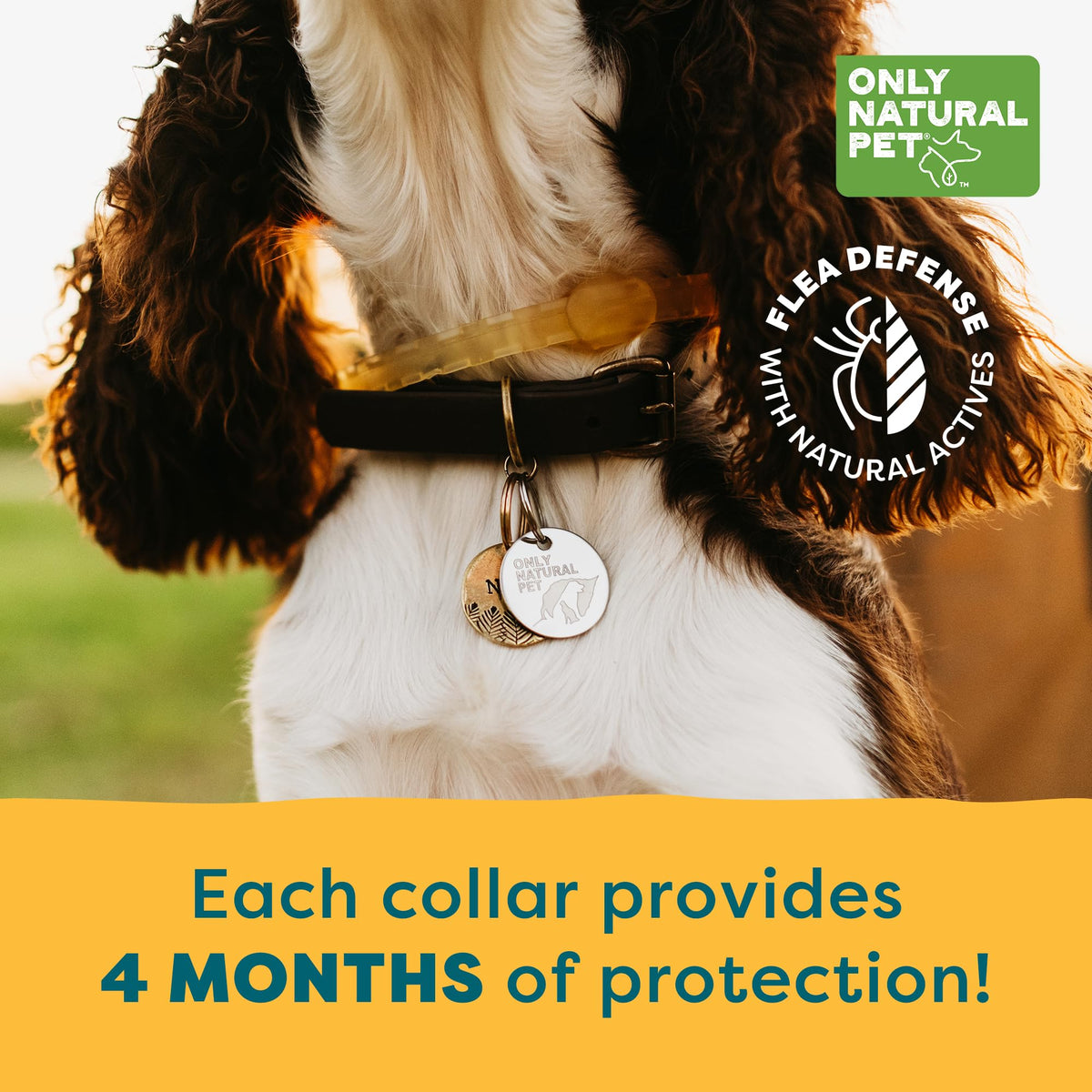 Flea & Tick Dog Collar One Size Fits All O29261