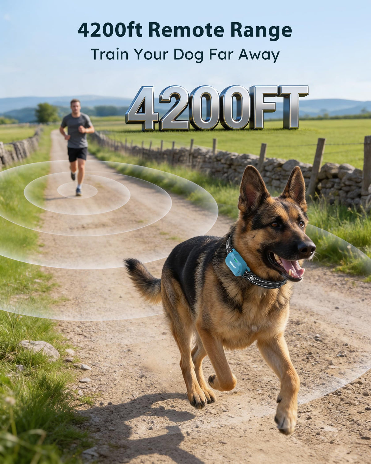 Dog Training Collar with Remote X6016