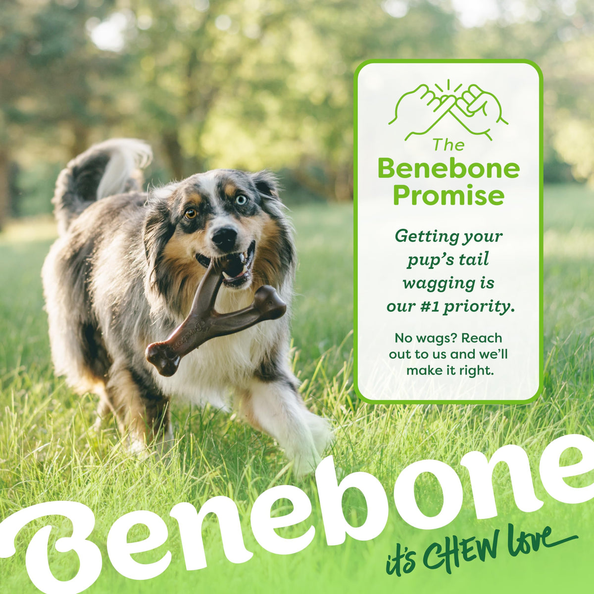Wishbone Dog Chew Toy Medium A785910