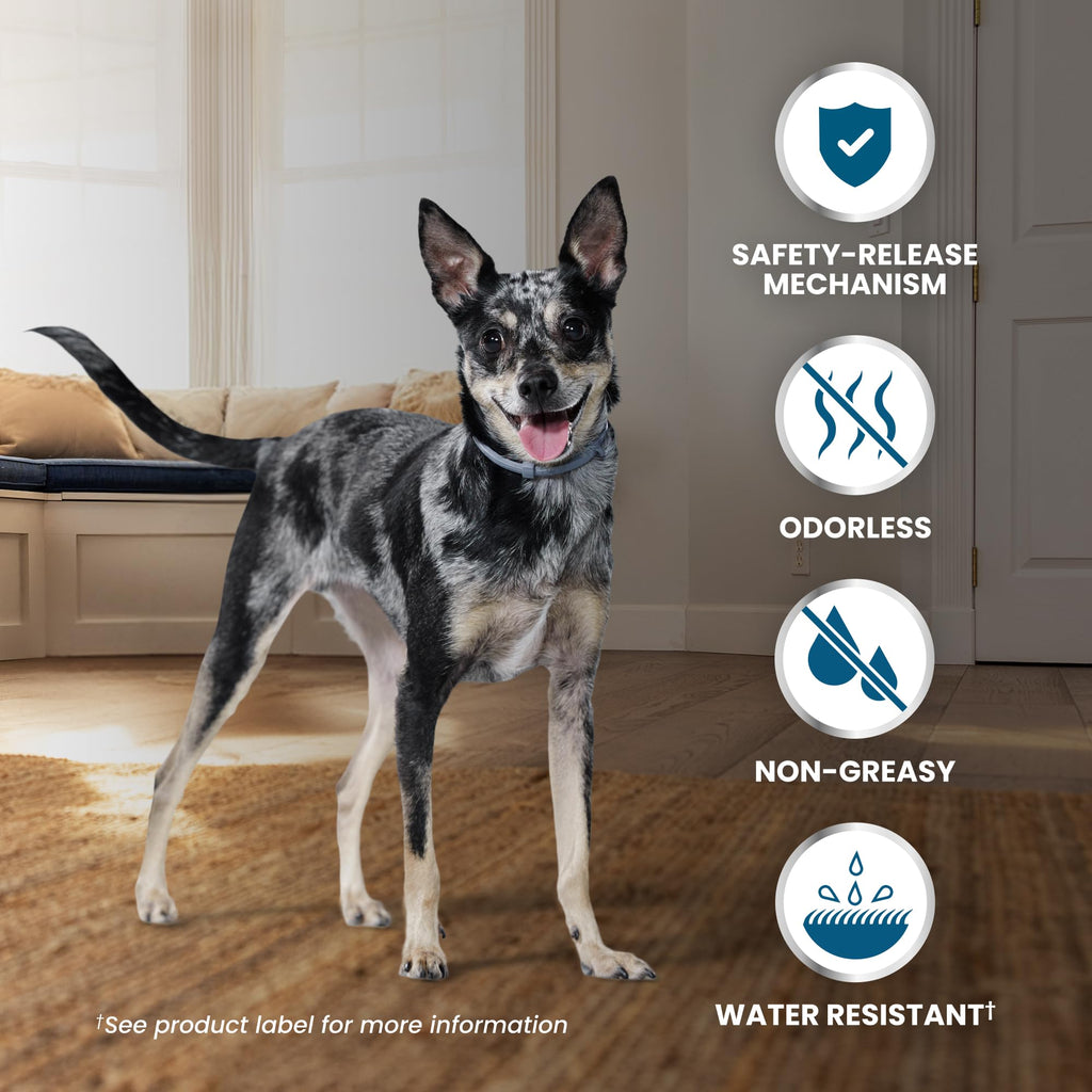 Flea & Tick Treatment & Prevention Collar for Dogs Under 18 lbs F601052