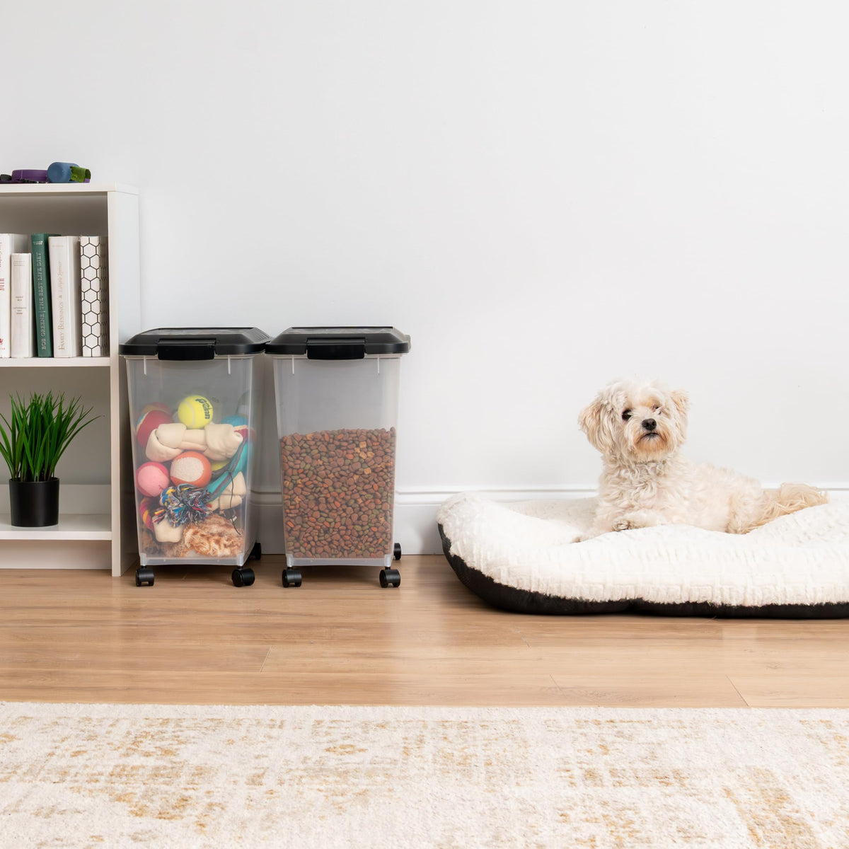 Dog Food Storage Container 2-Pack Black K808452