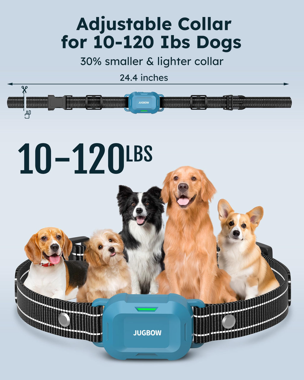 Dog Training Collar with Remote X6016