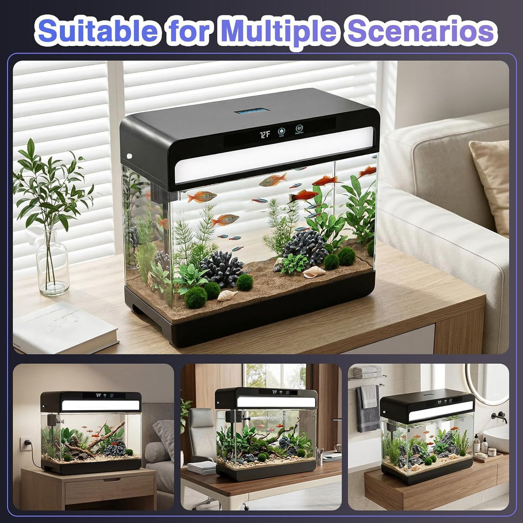 3 Gallon Fish Tank Starter Kit B14882